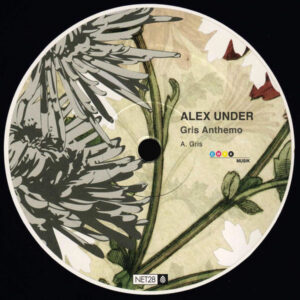 Alex Under - Gris Anthemo